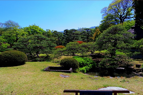 庭園
